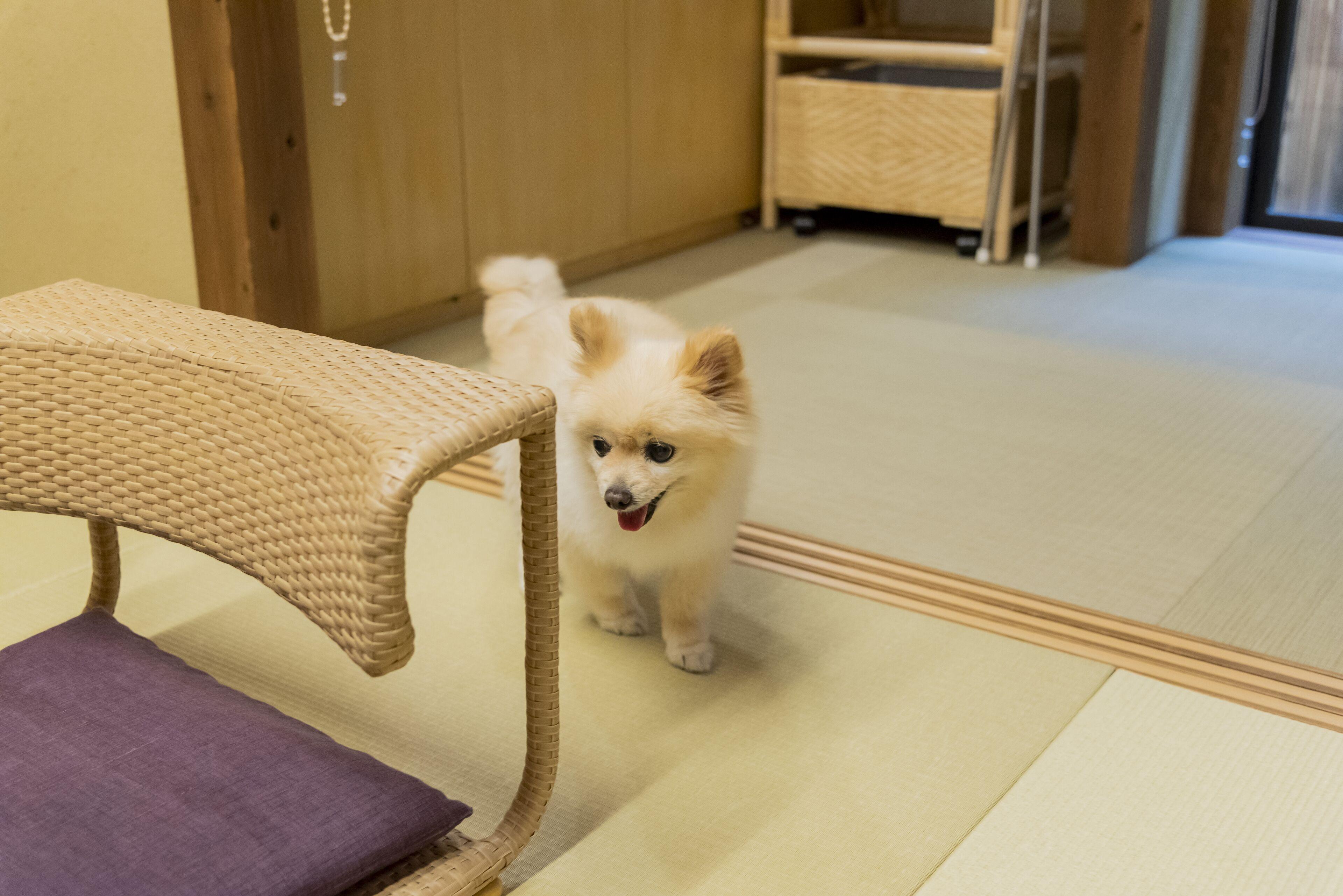 Ichijyo-Karin Hotel - Kyoto — Photos 2